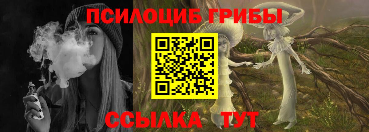 Орёл  Галлюциногенные грибы Cubensis  Вход с VPN 